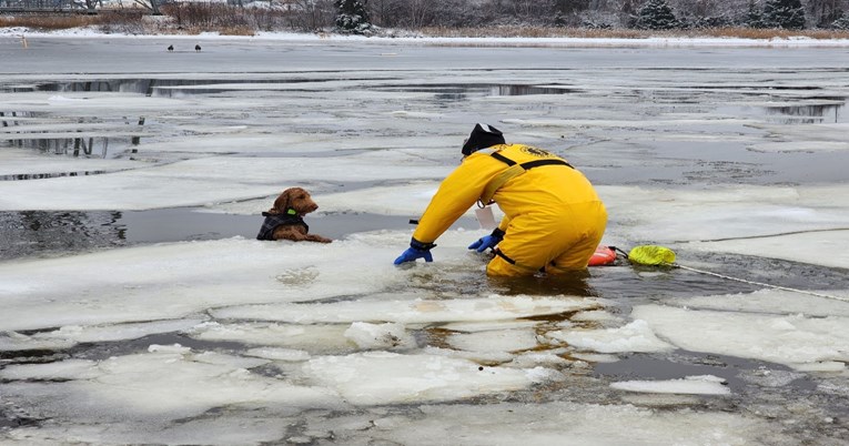 Spašen od sigurne smrti: Vatrogasci izvukli bespomoćnog psa iz ledene rijeke u SAD-u