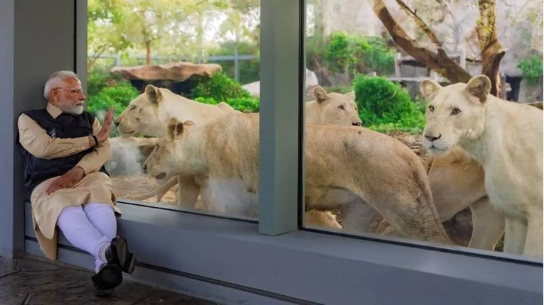 Sin najbogatijeg čovjeka u Indiji ima golem privatni zoološki vrt. Pod istragom je