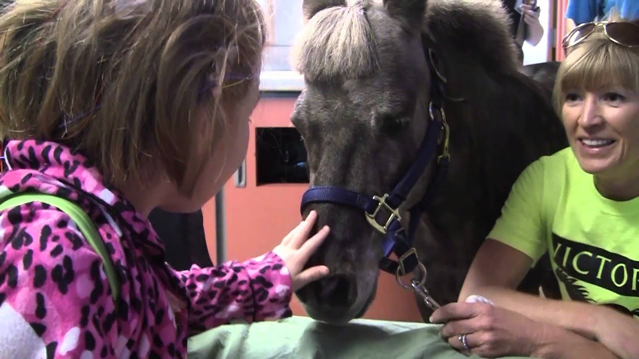 Posebna životinja bolesnoj djeci pomaže da se ne zaborave smijati