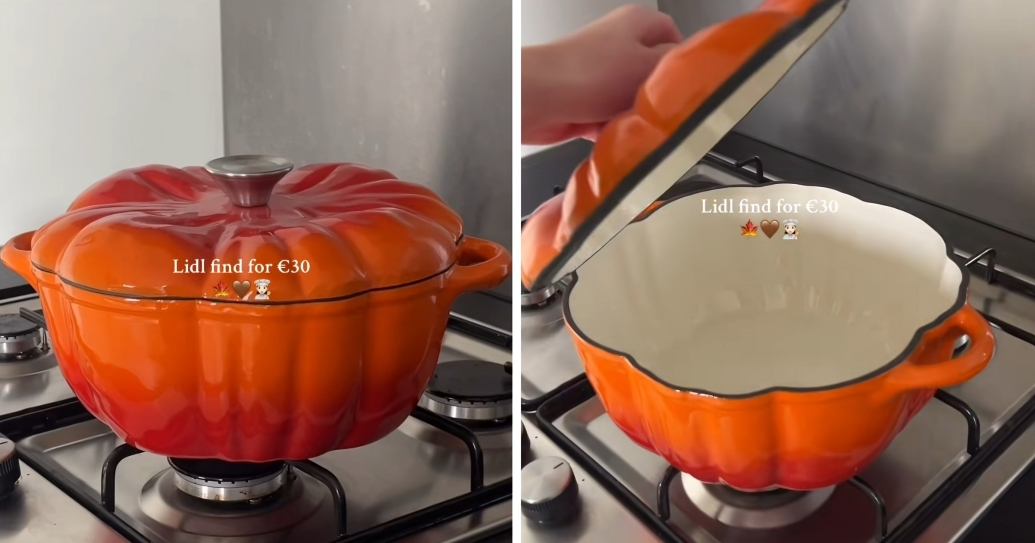 Hit lonac iz Lidla: Izgleda kao Le Creuset, ali je deset puta jeftiniji