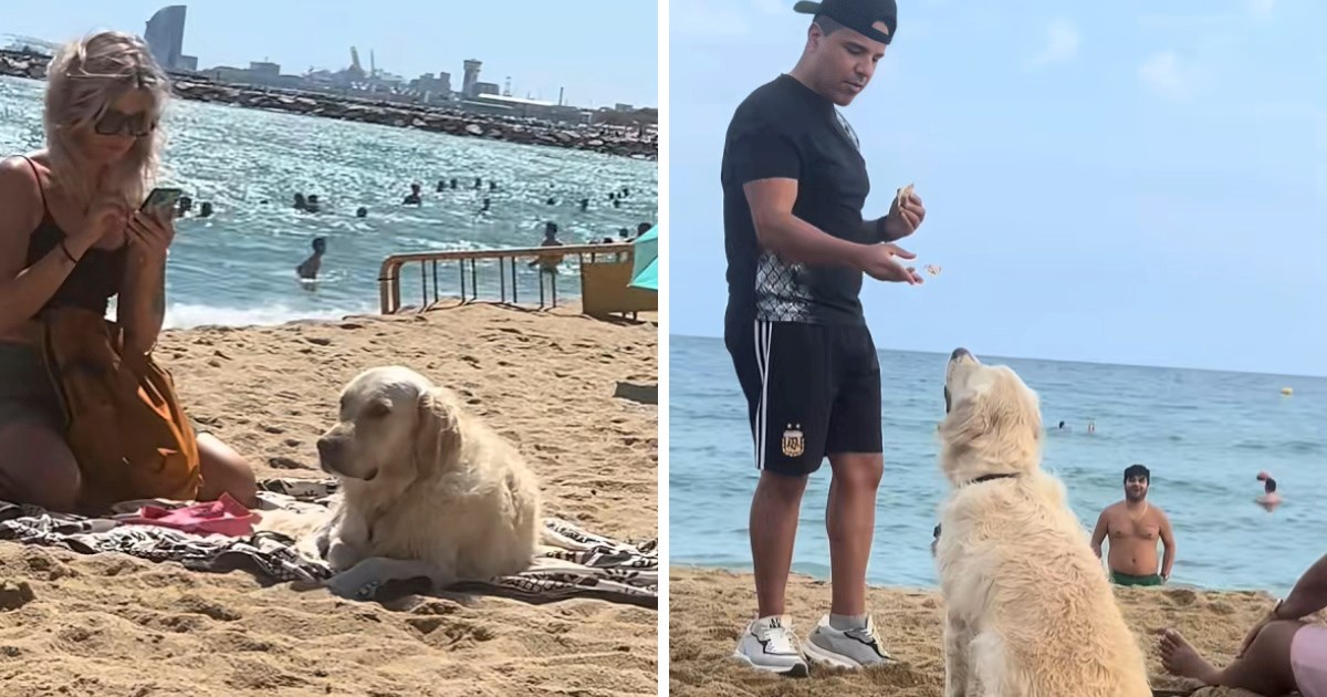 VIDEO Žena otišla sa psom na plažu. On se družio sa svima osim s njom