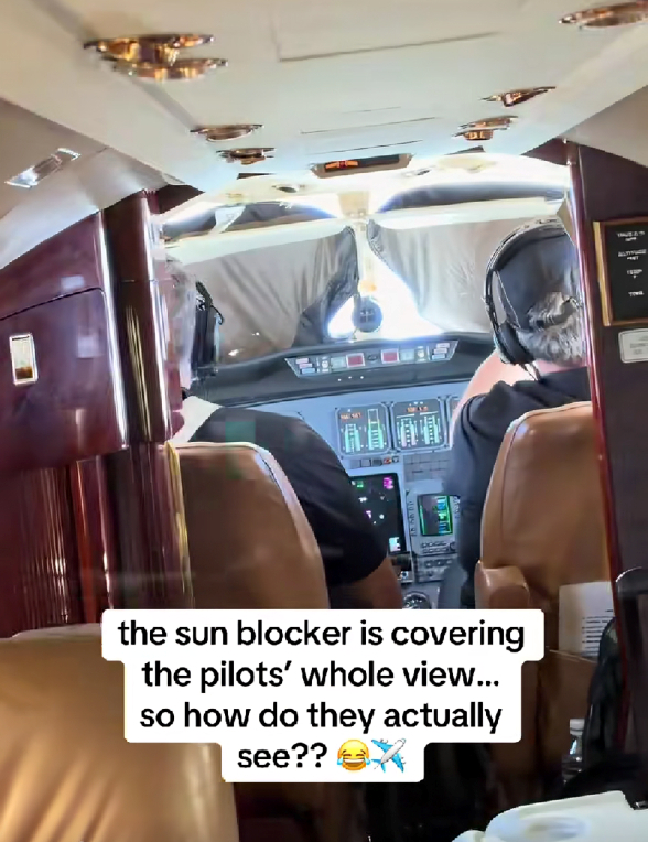 22,5 mil. pregleda: Video iz kabine zrakoplova zbunio ljude, profesor dao objašnjenje