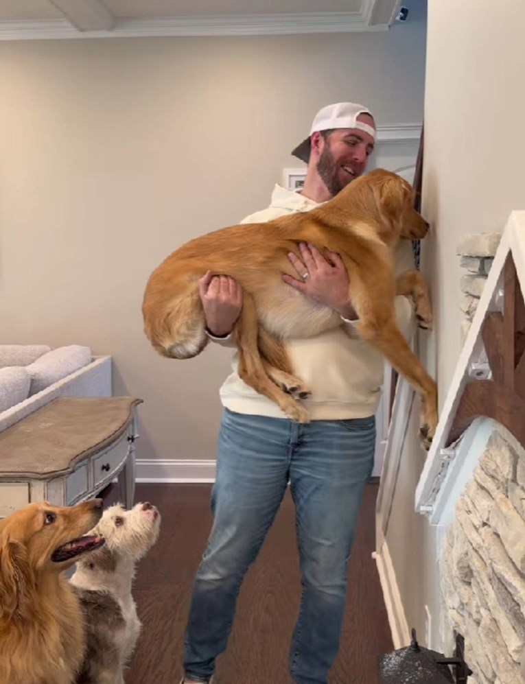 Samo je jedan od tri retrivera prošao viralni test inteligencije