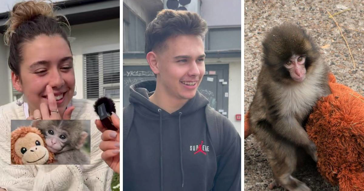 "Drži se, majmune": Prikupili smo poruke podrške za Puncha 🥹