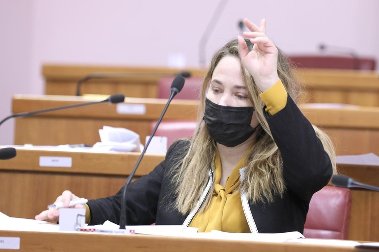 Selak Raspudić: HDZ želi trajno izvanredno stanje da spriječi istraživanje kriminala