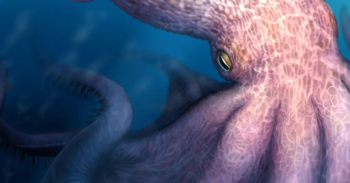 Prije 100 milijuna godina u oceanima su živjele hobotnice od 19 metara