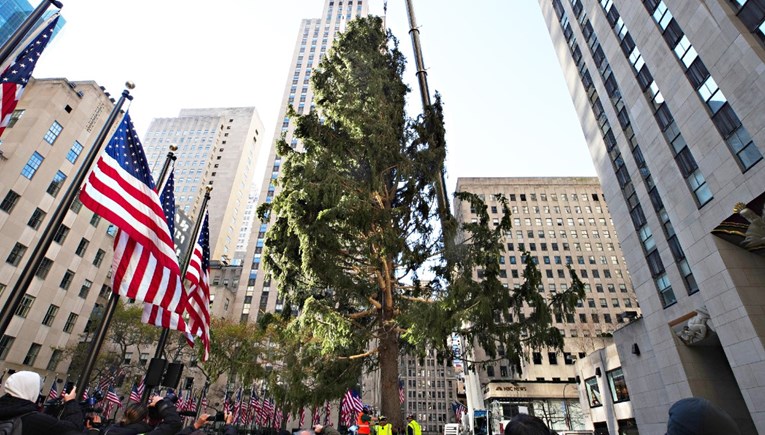 Ljudi ne vjeruju kakvo je drvce postavljeno kod Rockefeller centra u New Yorku