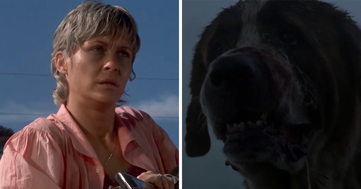 Netflix radi na remakeu kultnog horora Stephena Kinga iz 1981. godine