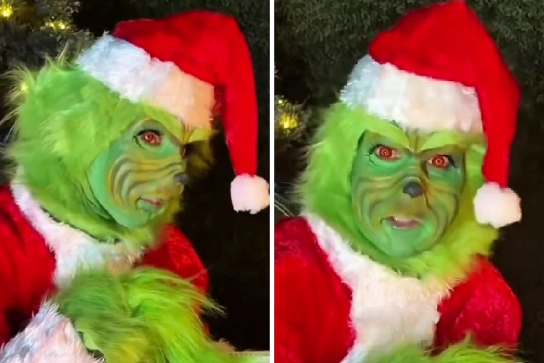 Morate vidjeti kako je Celine Dion fanovima čestitala blagdane - ovo je hit 😂