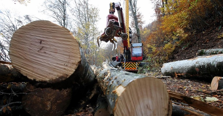 Šveđani u Ogulinu otvaraju najveću tvornicu drvenih podova na svijetu