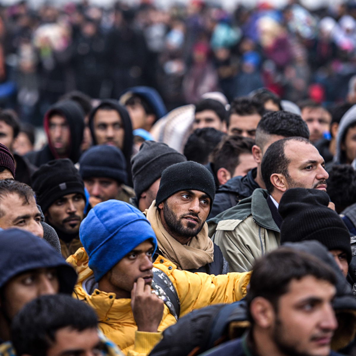 Veliko istraživanje otkrilo kako ilegalna imigracija utječe na kriminal