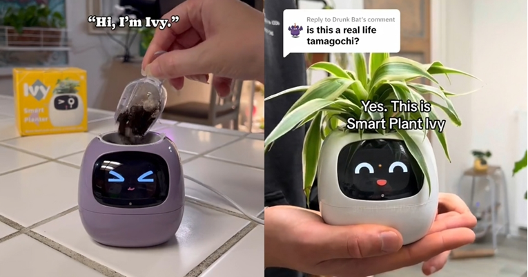 Jeste li čuli za Plantagotchi? Evo o čemu se radi