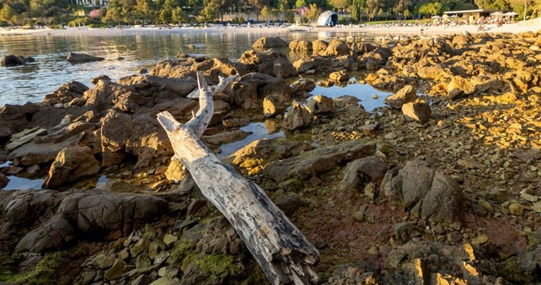 U Rovinju izgradila ilegalni kamp, krčila šumu za put do mora