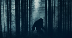 Znanstvenici misle da su konačno objasnili misterij Bigfoota