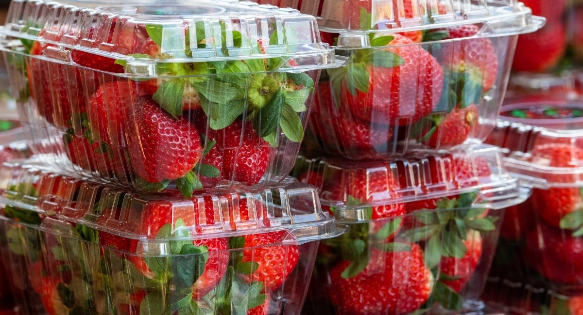 Jagode su pri vrhu liste prema količini pesticida. Evo kako ih pravilno prati