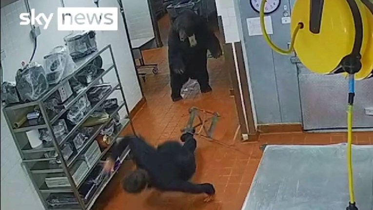 VIDEO Medvjed ušao u kuhinju hotela u SAD-u, napao zaštitara. Sve je snimljeno 