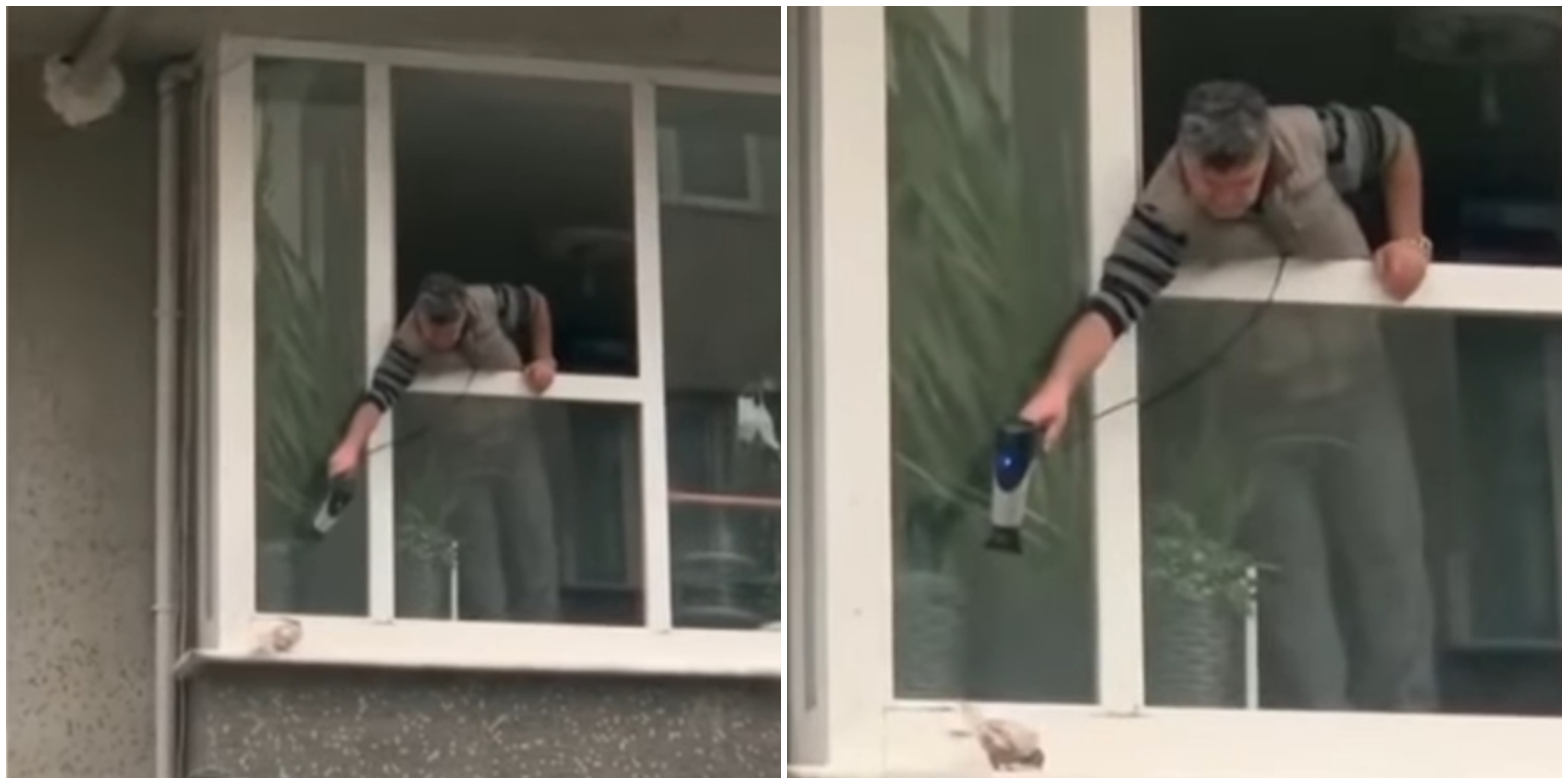 Postao je heroj zbog onoga što je napravio kada je vidio goluba na svom prozoru