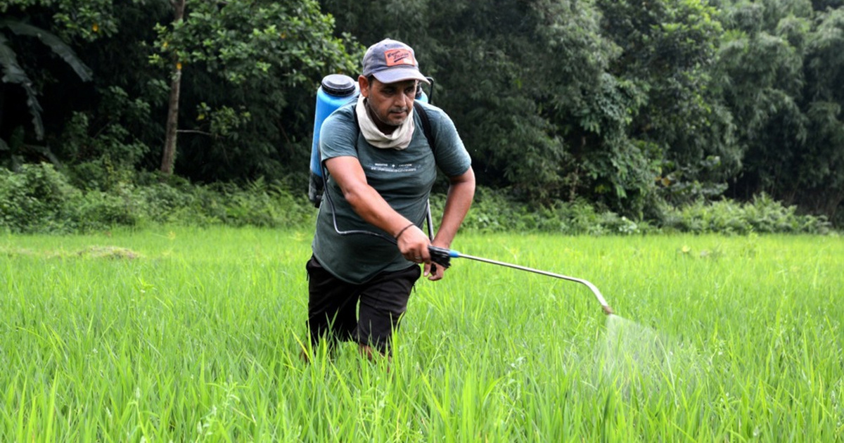 Svijet troši sve više pesticida. Najviše stradaju poljoprivrednici u Aziji i Africi