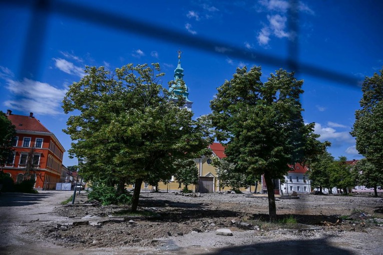 Ruše se stoljetne lipe u Karlovcu, oporba bijesna. "HDZ se smije građanima u lice"