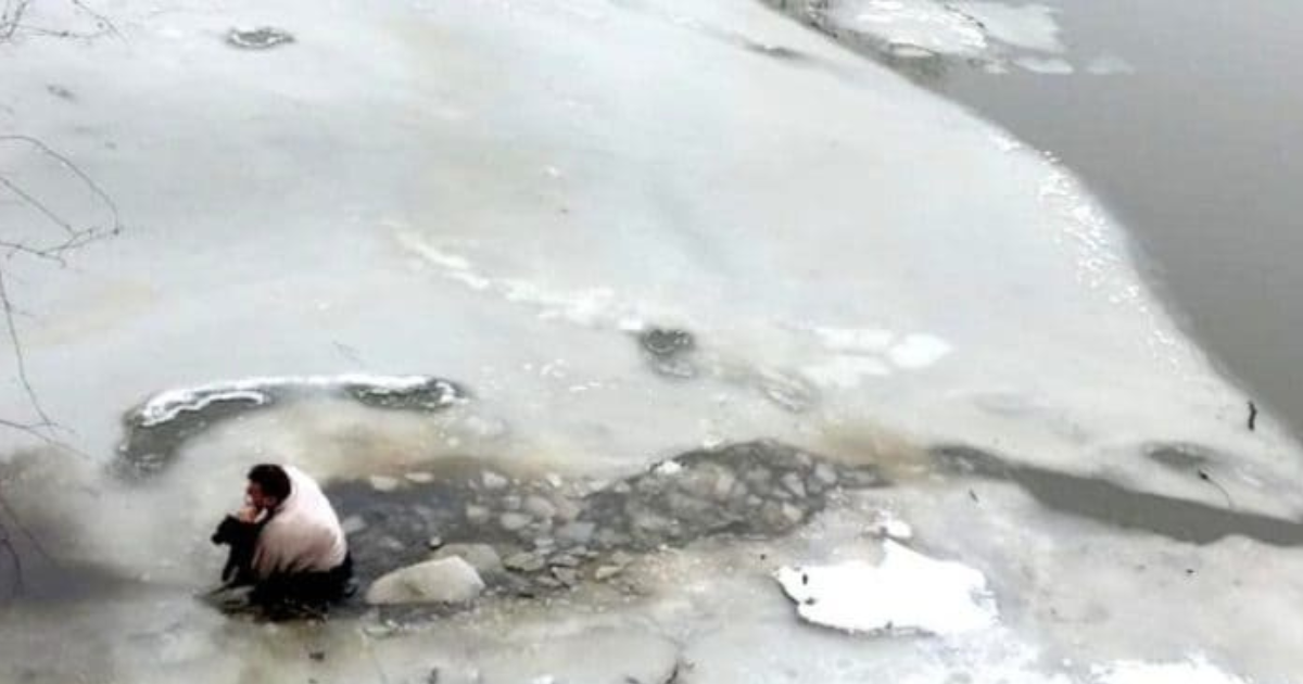 Čovjek spasio promrzlog psića od utapanja. Do njega su ga doveli njegovi psi