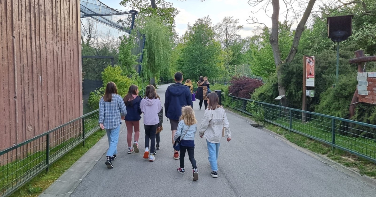 Nova pustolovina pod okriljem noći: Noćni safari u Zoo vrtu