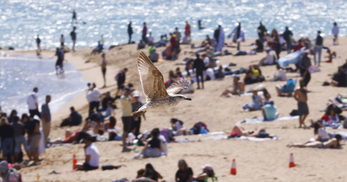 Upozorenje Europljanima: Nažalost, neki od vas će ostati bez godišnjeg odmora