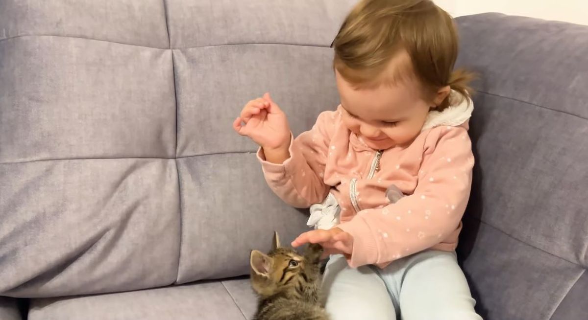 Beba Zlata prvi put upoznala mačića, njihov susret je presladak