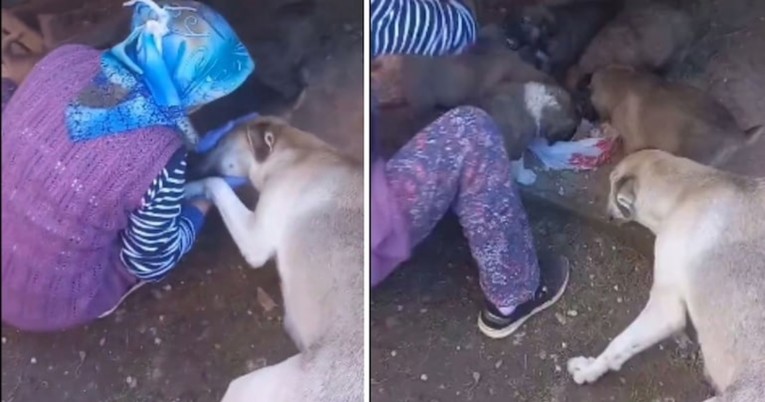 Kujica zahvalila ženi koja je nahranila njezine gladne psiće