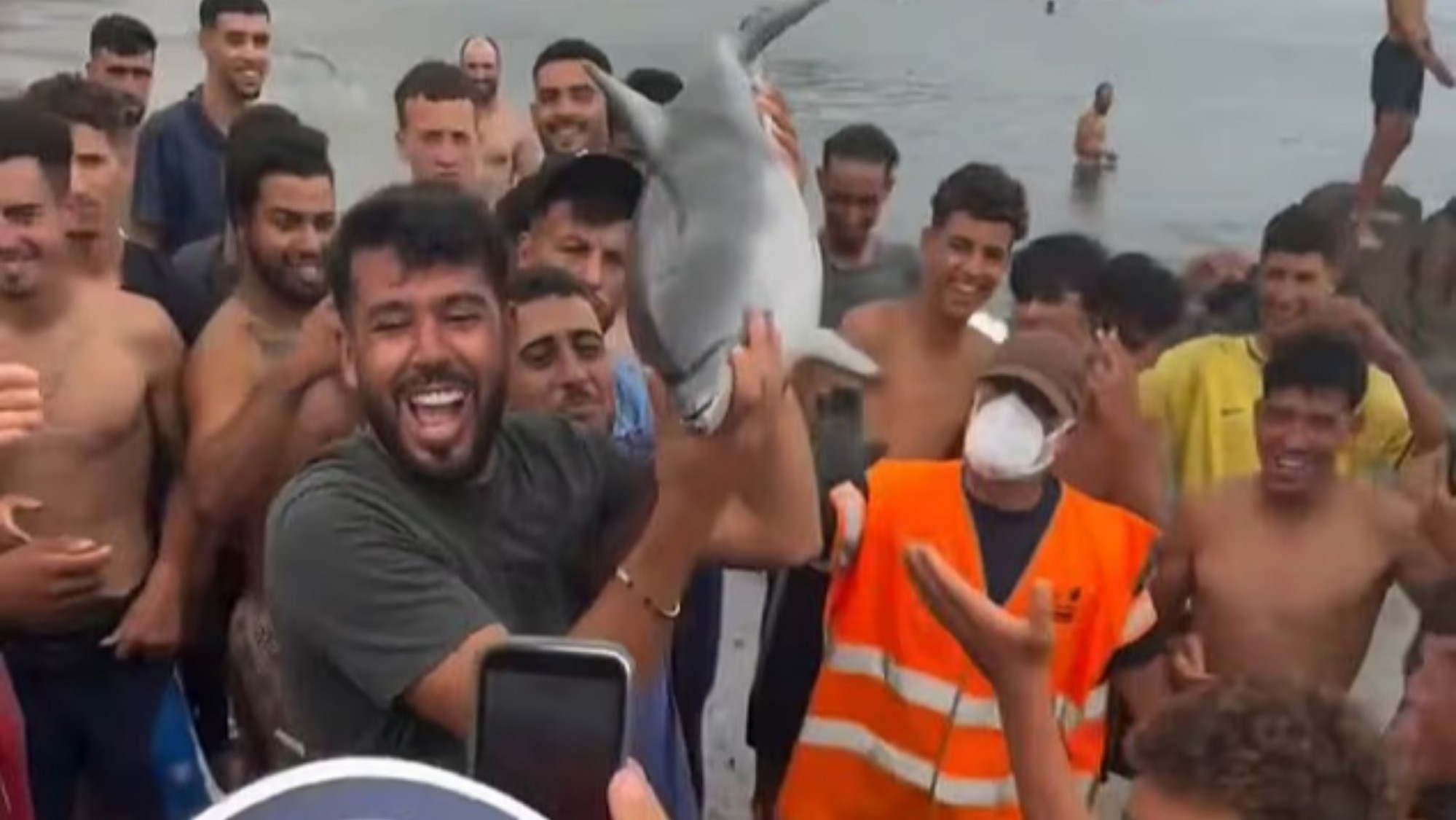 Snimka iz Ceute izazvala bijes. Udruga tvrdi: Migranti su ubili mladunče dupina