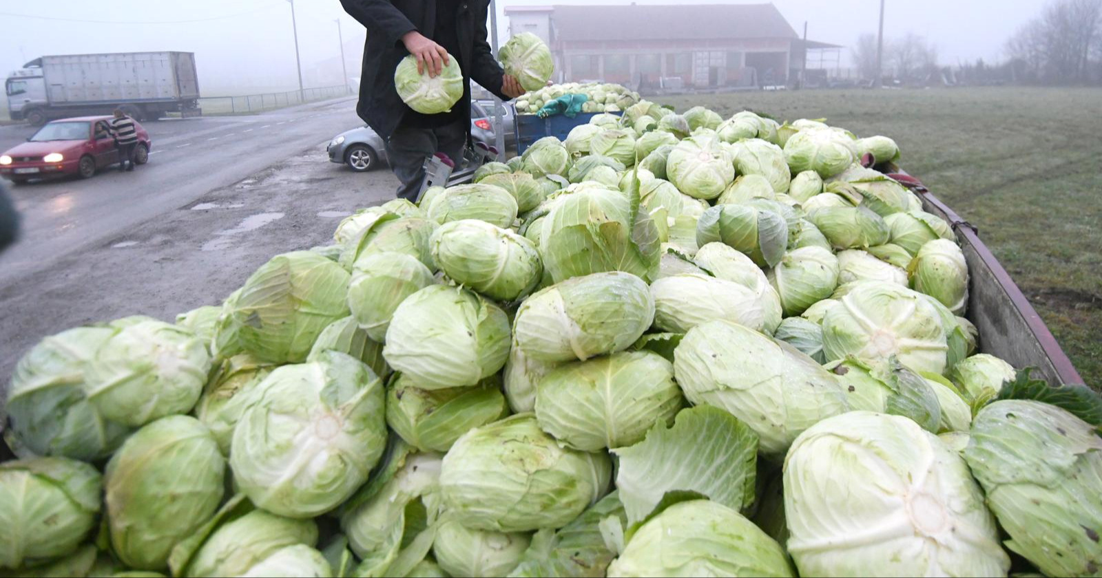 HPK poziva poljoprivrednike da se uključe u izbore za tijela Komore