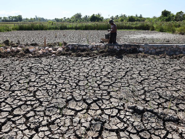 El Niño se vratio. Svijetu prijete ekstremne vrućine i rast cijena hrane