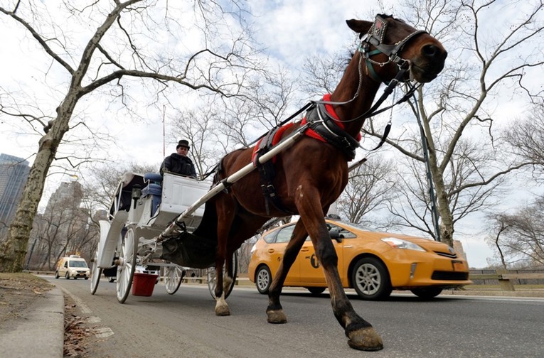 New York želi zabraniti turističke kočije s konjima nakon tragedije u Central Parku