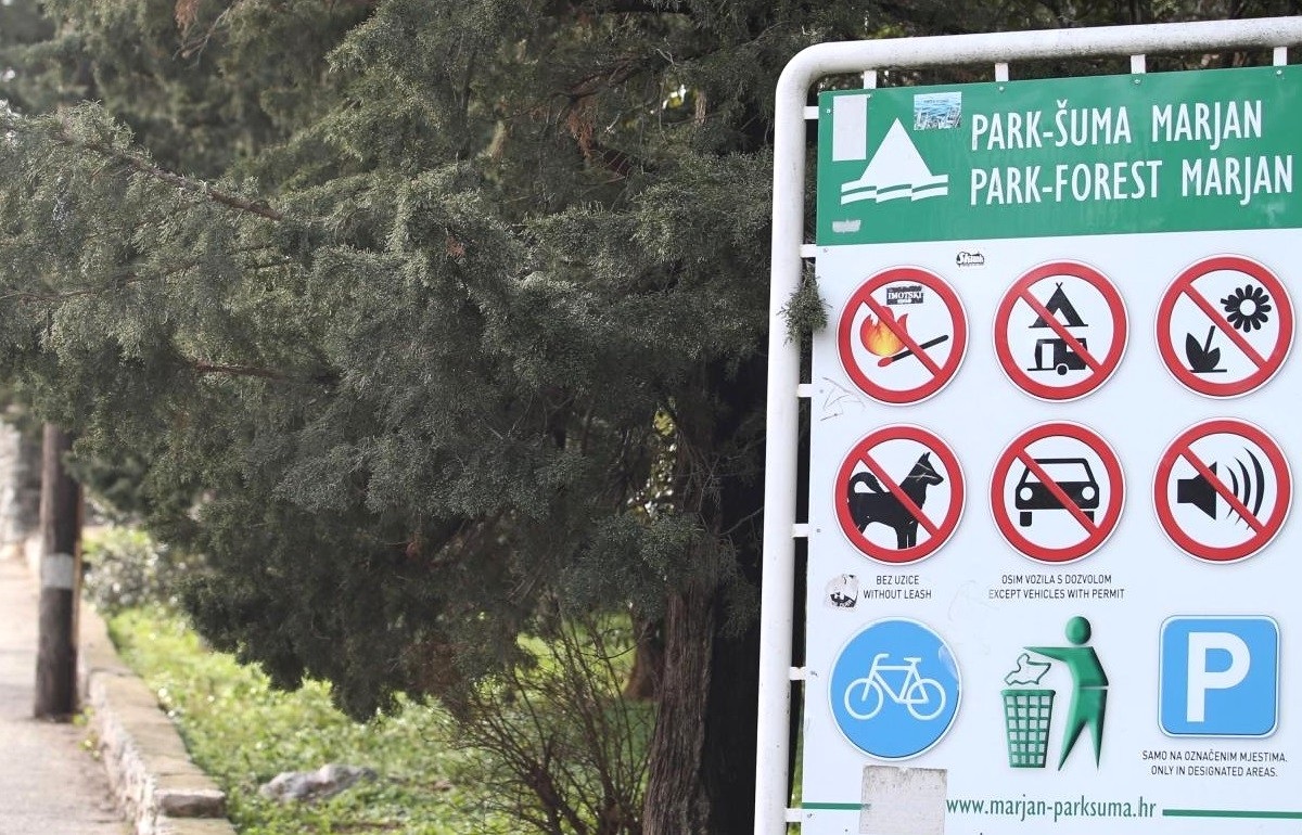 Na splitskom Marjanu posadit će se novih 16.000 stabala