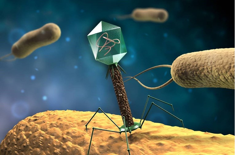 Neki virusi imaju drugačiju DNK koja sadrži vanzemaljski dio