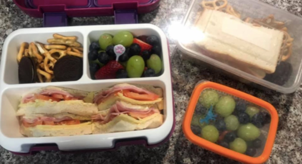 Mama objavila fotografiju školske užine svoje kćeri iza koje stoji dirljiva priča