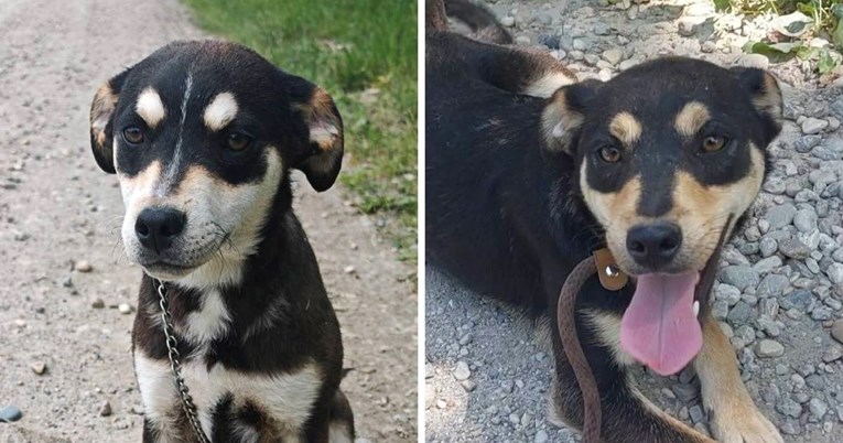 Dvije nježne duše traže sreću: Upoznajte braću Loleka i Boleka