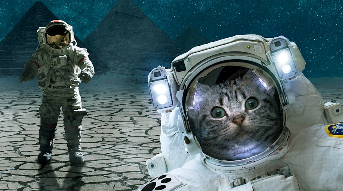 Napisao je NASA-i urnebesno pismo o slanju životinja u svemir i dobio odgovor