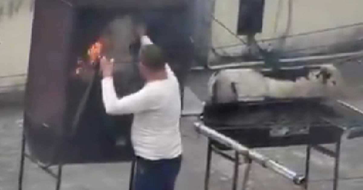 Kubanci napustili ambasadu u Ekvadoru. Uoči odlaska spaljivali papire u peći na krovu