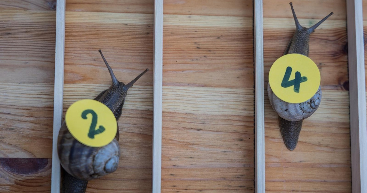 FOTO U Biorinama održana najsporija utrka na svijetu