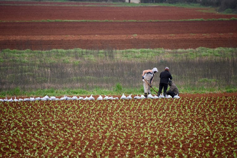 Stočar iz Primorsko-goranske županije novi je šef Hrvatske poljoprivredne komore