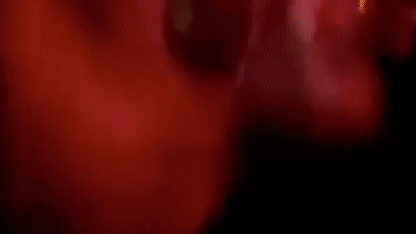 VIDEO Policija sinoć upala u beogradski klub, unutra je bilo preko 700 ljudi