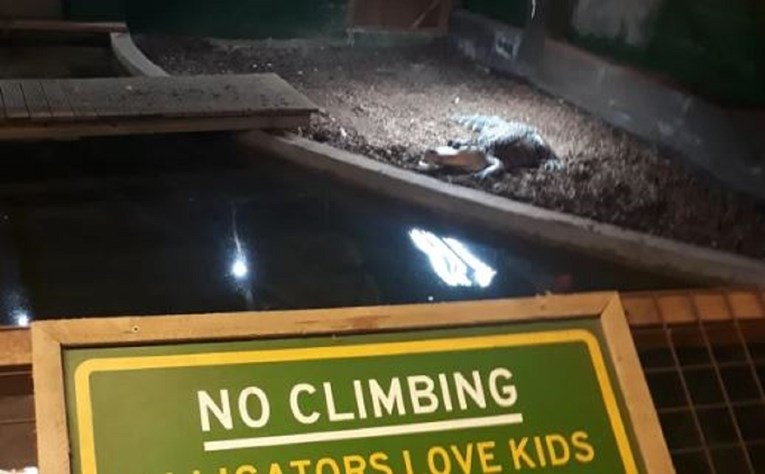 Prijeteći znak iz zoološkog vrta postao hit: "Aligatori vole djecu, ali..."