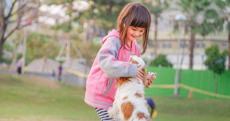 Najmazniji pas: Ova pasmina želi biti uz vlasnika 24/7