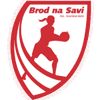 BROD NA SAVI