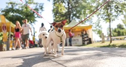 Zagreb postaje mala metropola za pse, ove jeseni stiže prvi Festival pasa svih rasa