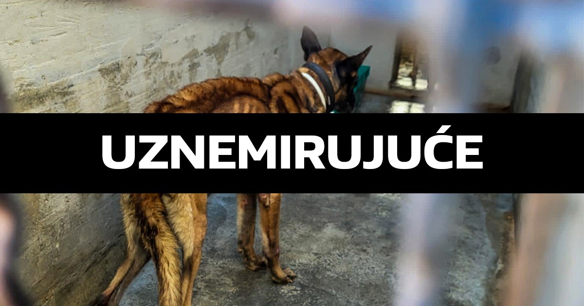 Inspekcija utvrdila niz nepravilnosti u šibenskom azilu. Kazne i do 16 tisuća eura