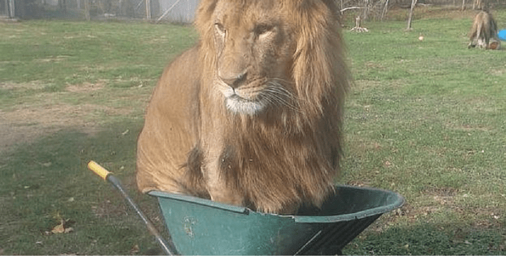 Uznemirujuće fotografije iz zoo vrta zgrozile su tisuće ljudi
