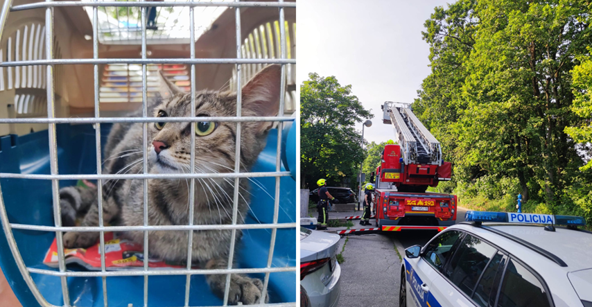 Maca iz Zelengaja digla na noge Dumovec, policiju i vatrogasce, zaustavila i promet