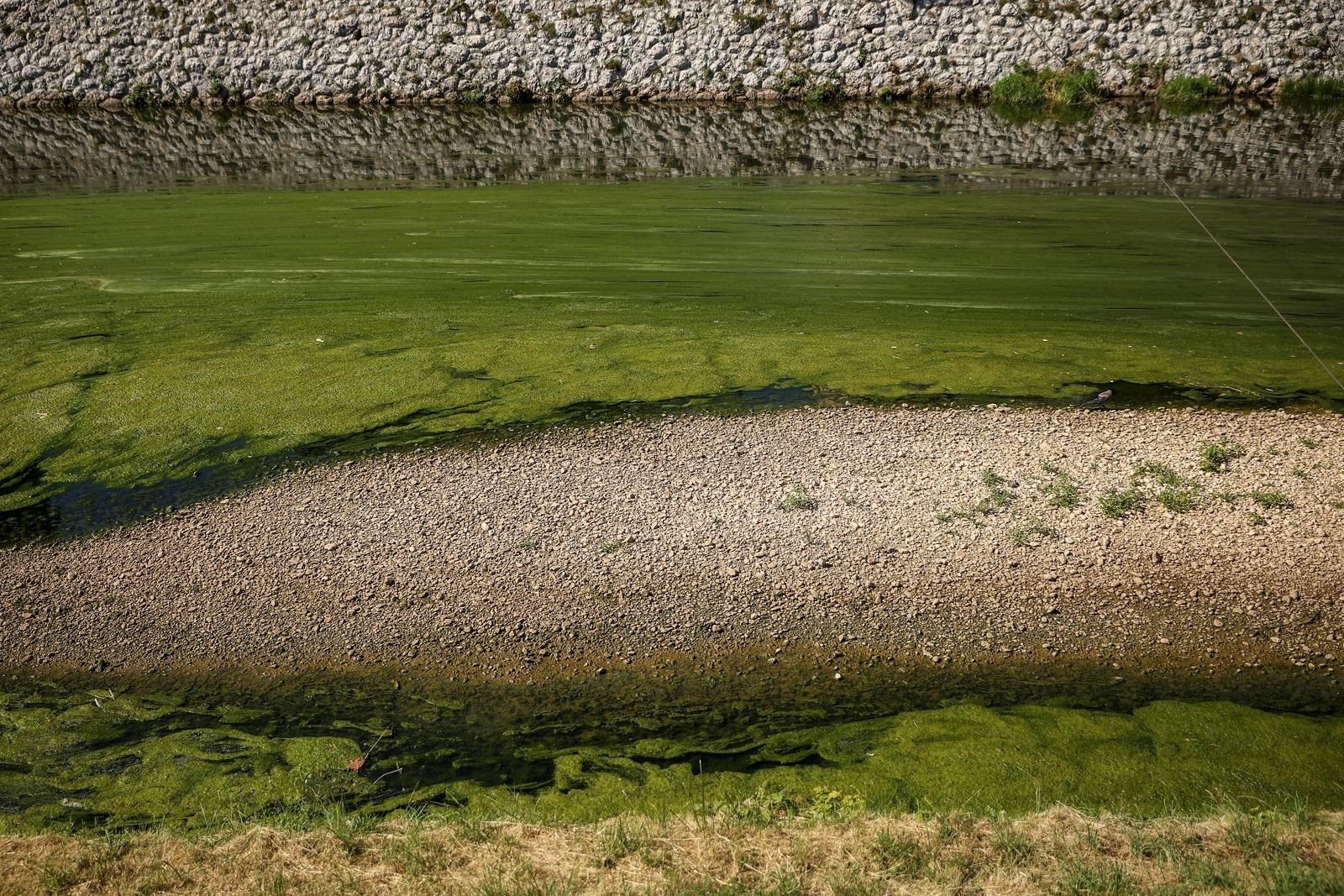 Zbog suše proglašena prirodna nepogoda u Virovitičko-podravskoj županiji