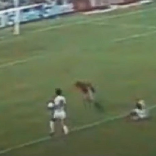 Dan kada je Jugoslavija doživjela jednu od najvećih krađa na SP-ima